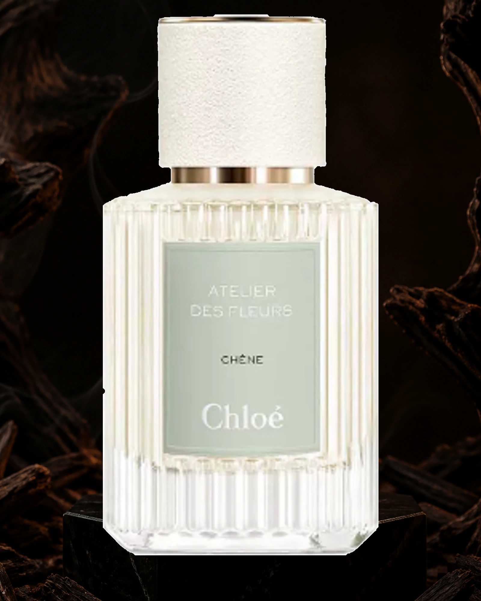 Chêne